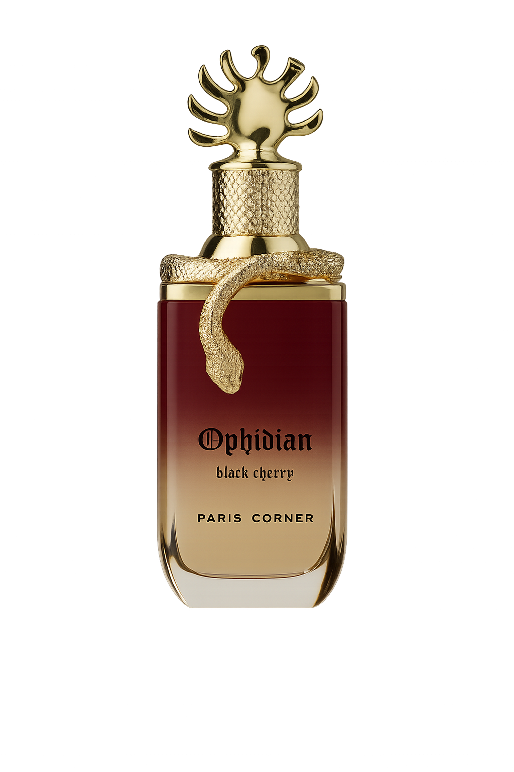 BLACK CHERRY OPHIDIAN