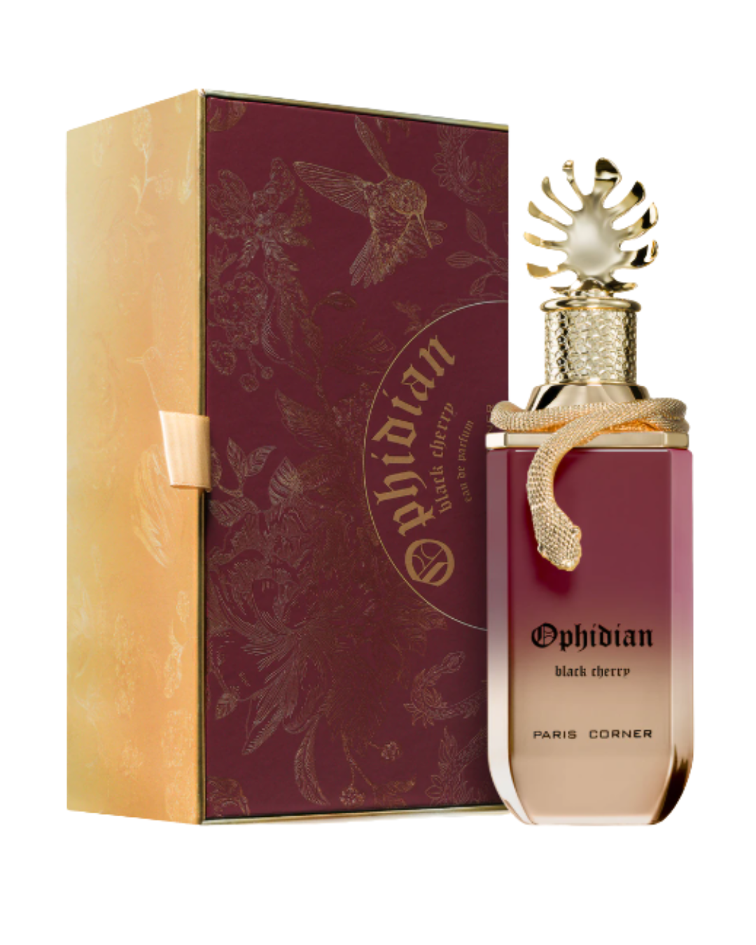 BLACK CHERRY OPHIDIAN